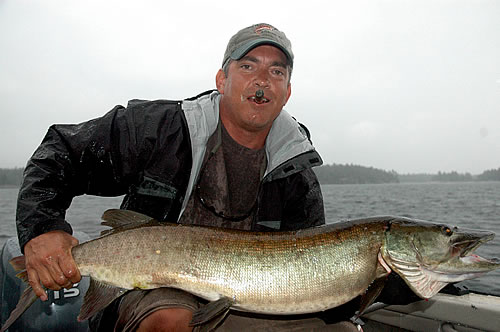 Rick Knipe Musky