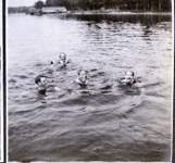 samuel_pearson_far_left2