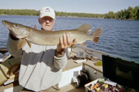 joe_dolney_36_inch_pike