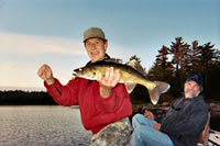 12bob_cline_walleye