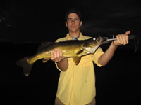 joey_walleye