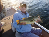 tony_largemouth2_fs