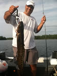 burbot