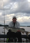 Knipe Musky