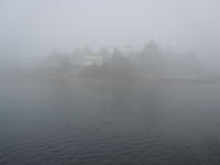 Foggy Morning3