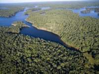 aerial12