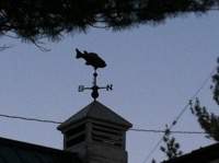 weathervane