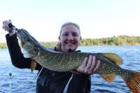 kristin_hamilton_36inch_pike