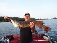 mike_34inch_pike