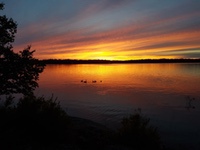 geese_at_sunset