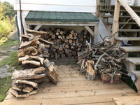 firewood