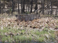 abandoned_boat