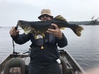 Cheek_walleye