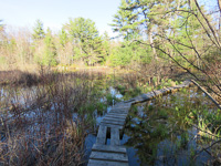 PA_Club_Trail-Boardwalk_at_High_Water