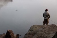 bwca14