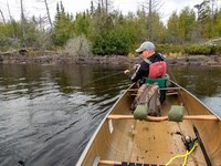 bwca17