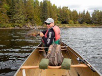 bwca18