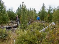 bwca20
