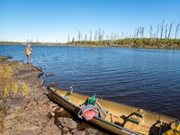 bwca25
