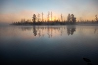 bwca30
