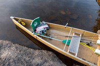 bwca31