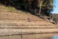 Lake_Cumberland8