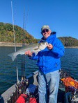 mcconahy_striper