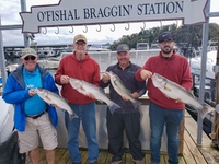 stripers1