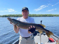 oho_pike