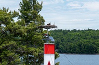 parry_sound6