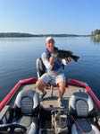 Ginos_bass