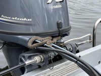 water_snake2