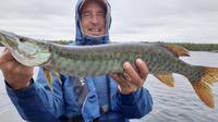 Gino_Cicconi_musky