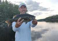 Gino_bass