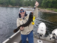 Nick_bowfin