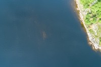 Shoals1