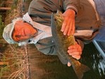 John_bass2