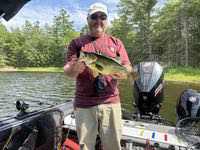 Tom_Keener_bass