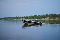 LWhite38