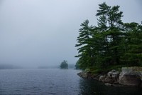 Misty_Morning1