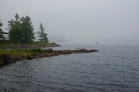 Misty_Morning2