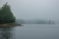 Misty_Morning3