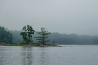 Misty_Morning4
