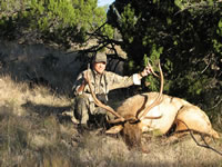 nm_elk1