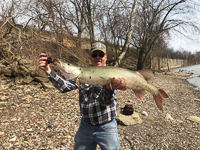 beaver_river_musky2