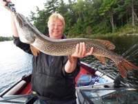 cheryl_38inch_pike